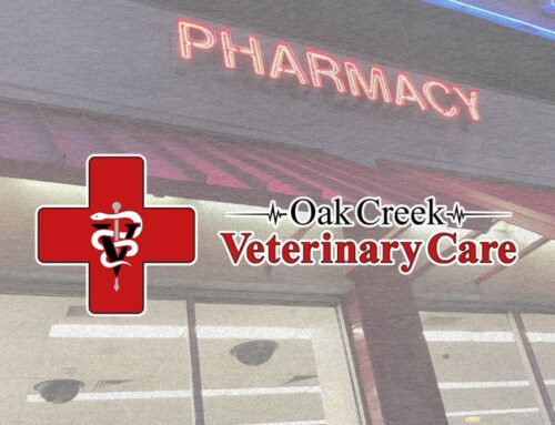 Important Update Regarding Prescription Processing at Oak Creek Veterinary Care